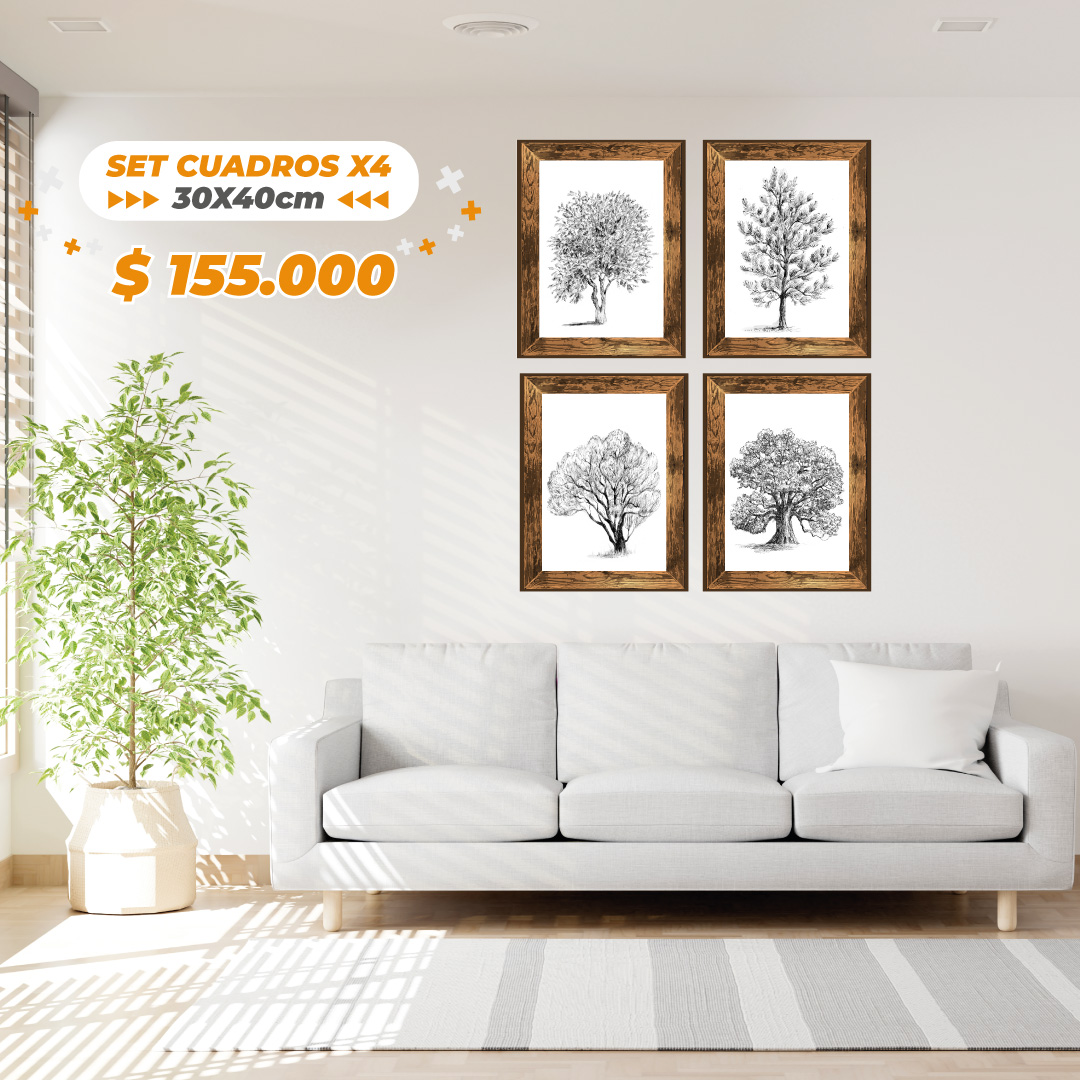 Set cuadros X4 (25cmx30cm)